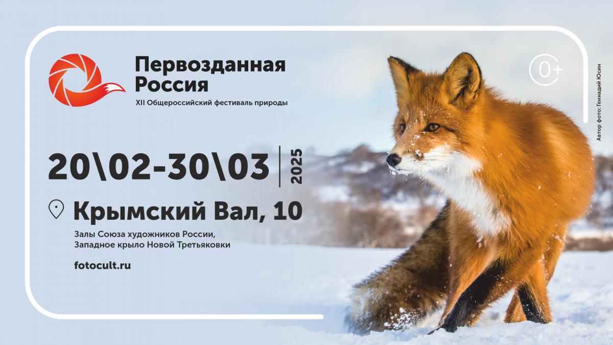 Природа в ярких цветах: 20 февраля открывается «Первозданная Россия» — фестиваль, который вдохновляет!