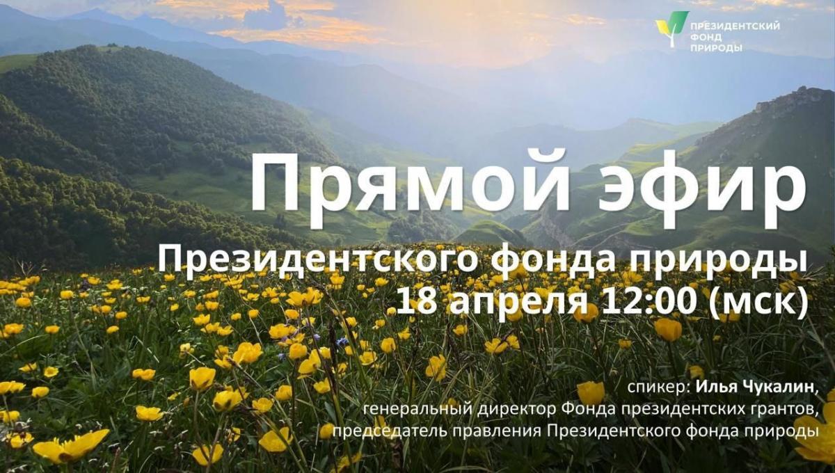 Прямой эфир от Президентского Фонда природы пройдет для заповедных грантрайтеров