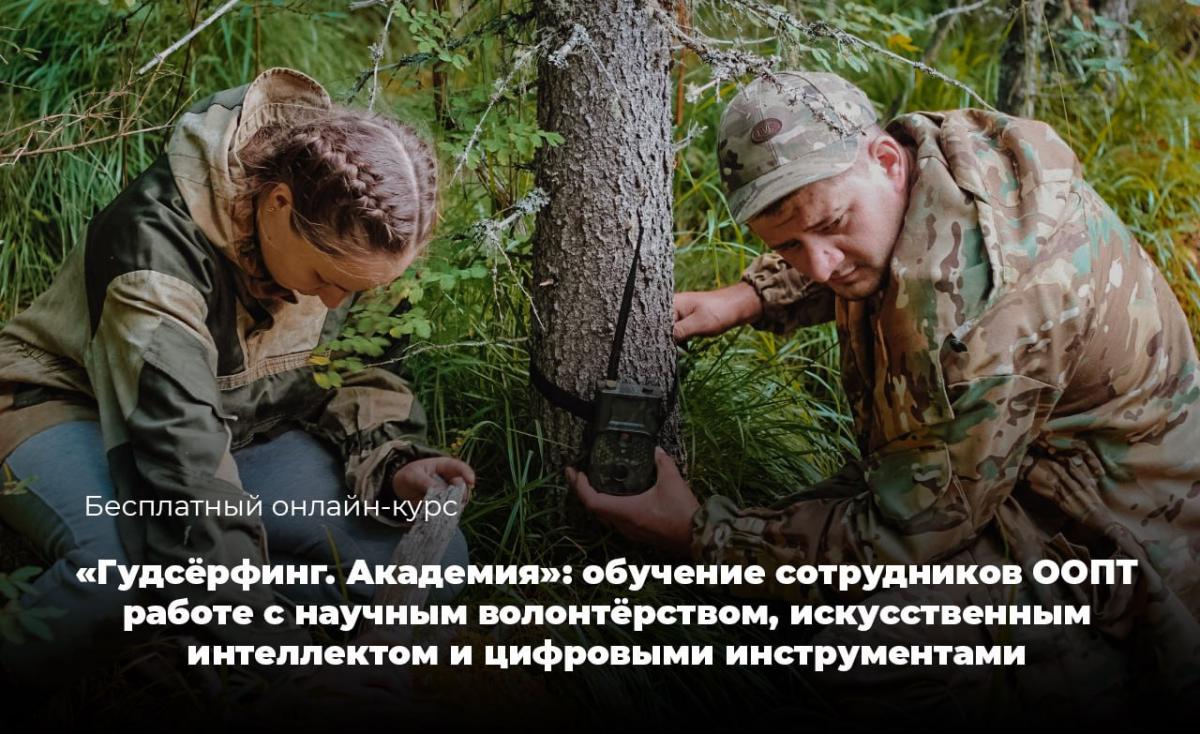 Проект «Гудсерфинг. Академия»