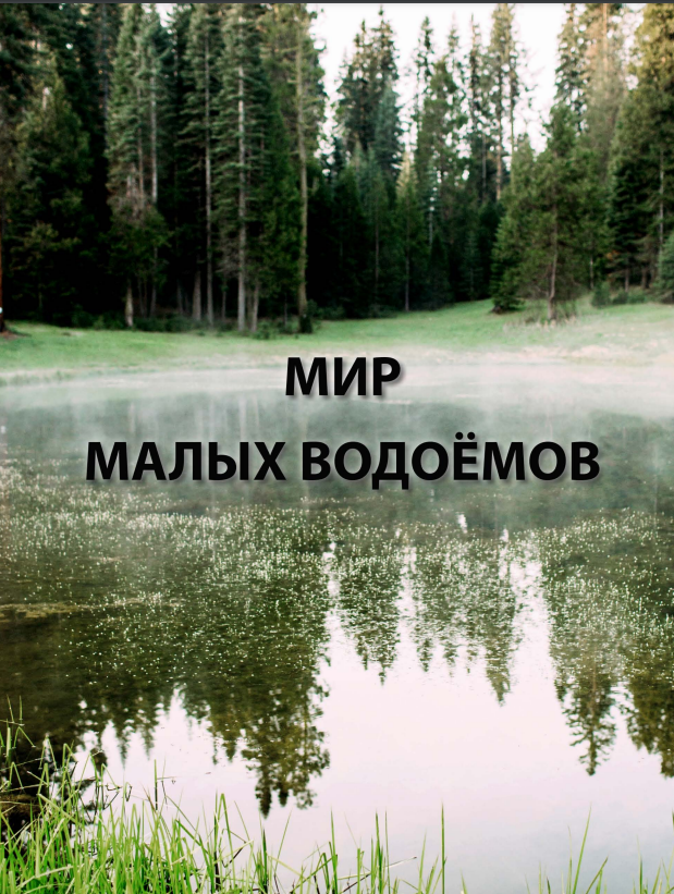 Мир малых водоёмов